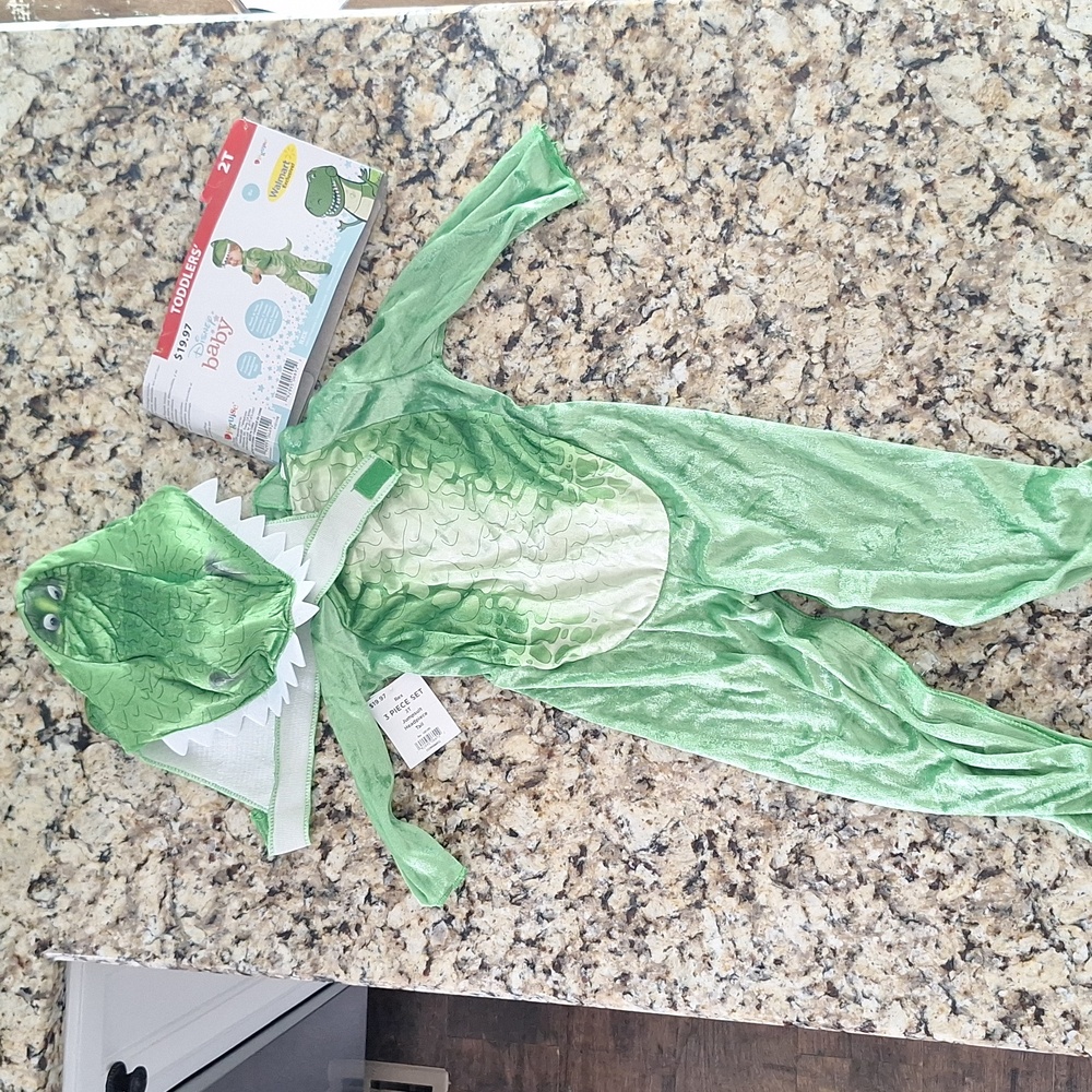 Toy story Rex costume